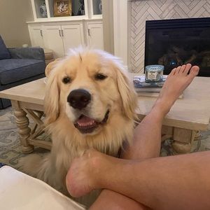 Meet your Posher, Wes